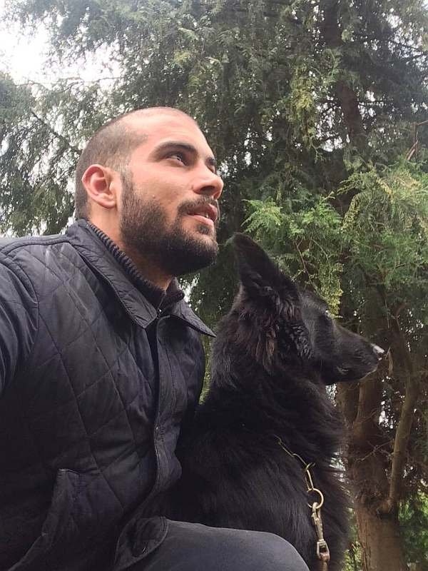 Dog Training - K.N. Mac