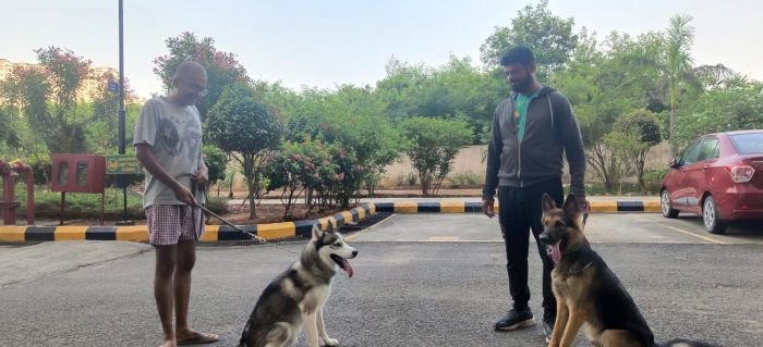 DogsIndia.com - Dog Training - Mithran