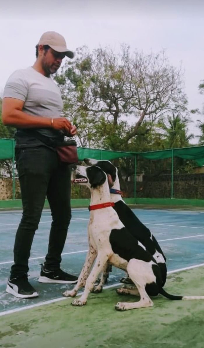 DogsIndia.com - Dog Training - Mithran