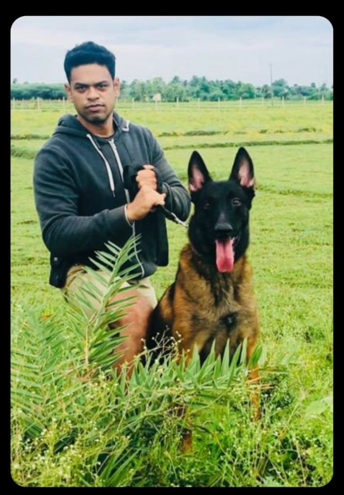 DogsIndia.com - Dog Training - Mithran