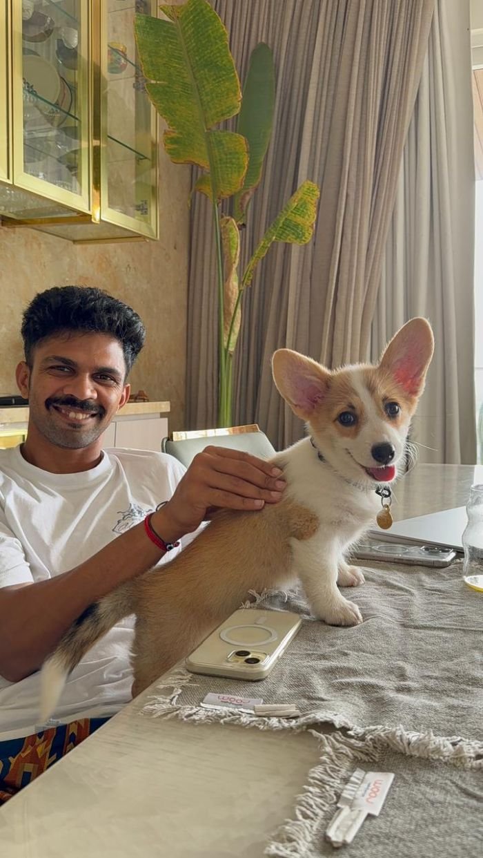 DogsIndia.com  Pembroke Welsh Corgi  Shade's  Derick